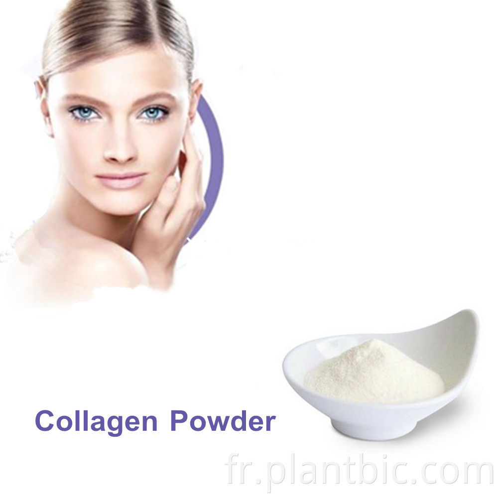 ENTRÉE OEM COMMUNIRISE POUR COLLAGE SUR LE SAL COLLAGEN SOLUBLE